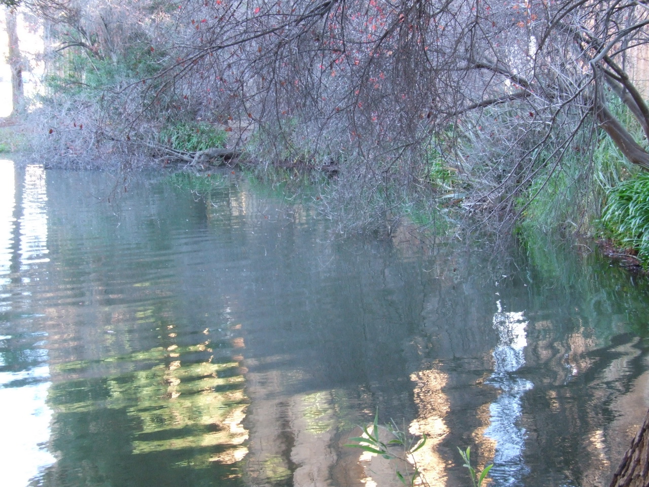 DSCF1891
